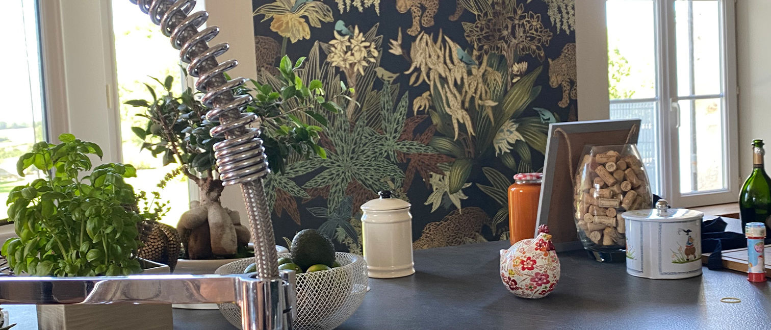 02-08-23-papier-peint-cuisine-jungle