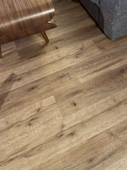 Sol-LVT-carousels2